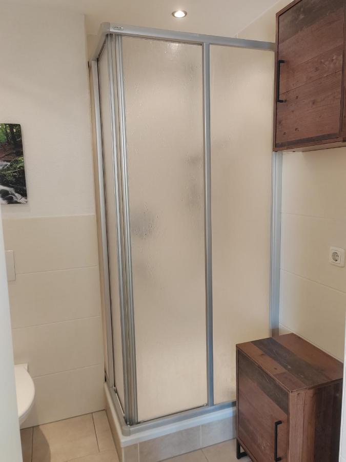 Ferienwohnung Elbtraum Pirna Bagian luar foto